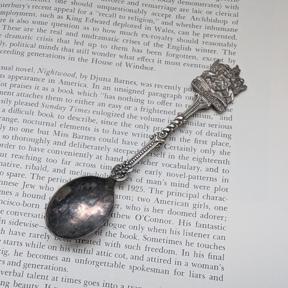 Elegant Silver Decorative Spoon Trinidad